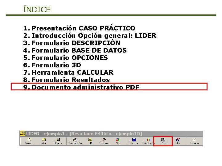 ÍNDICE 1. Presentación CASO PRÁCTICO 2. Introducción Opción general: LIDER 3. Formulario DESCRIPCIÓN 4.
