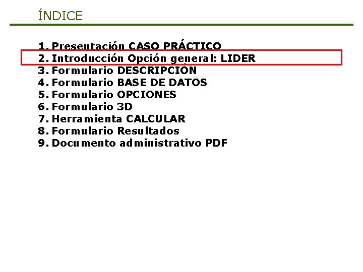 ÍNDICE 1. Presentación CASO PRÁCTICO 2. Introducción Opción general: LIDER 3. Formulario DESCRIPCIÓN 4.