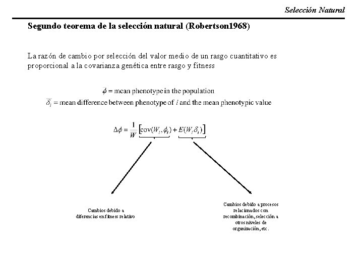 Selección Natural Segundo teorema de la selección natural (Robertson 1968) La razón de cambio