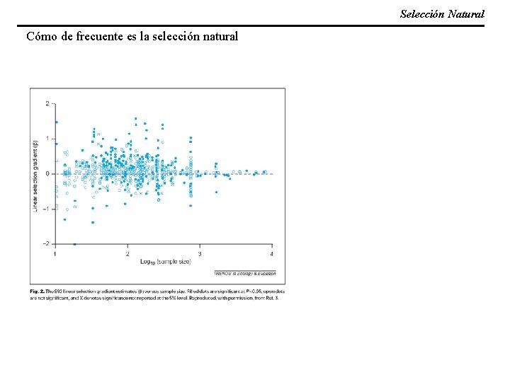 Selección Natural Cómo de frecuente es la selección natural 
