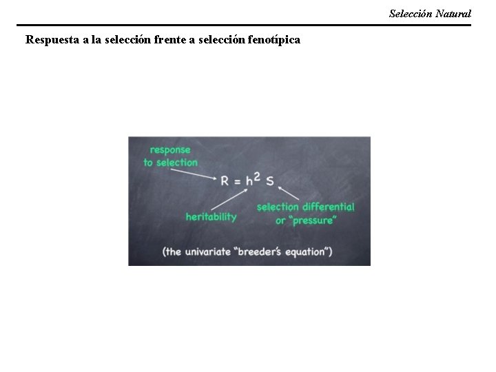 Selección Natural Respuesta a la selección frente a selección fenotípica 