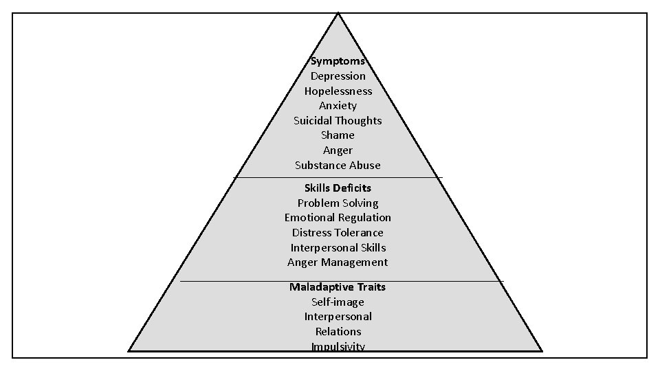 Symptoms Depression Hopelessness Anxiety Suicidal Thoughts Shame Anger Substance Abuse Skills Deficits Problem Solving