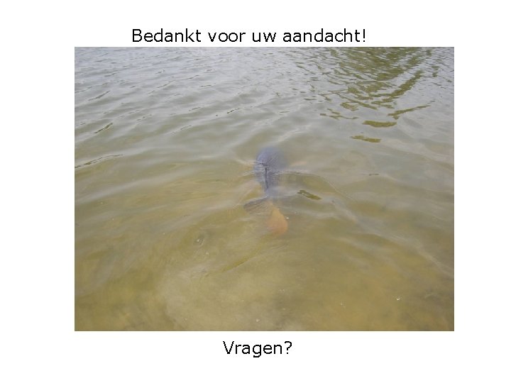 Bedankt voor uw aandacht! Vragen? 