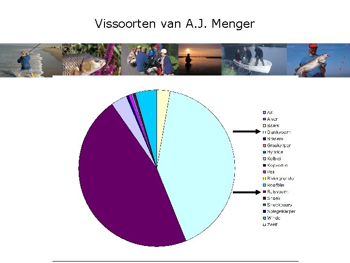 Vissoorten van A. J. Menger 