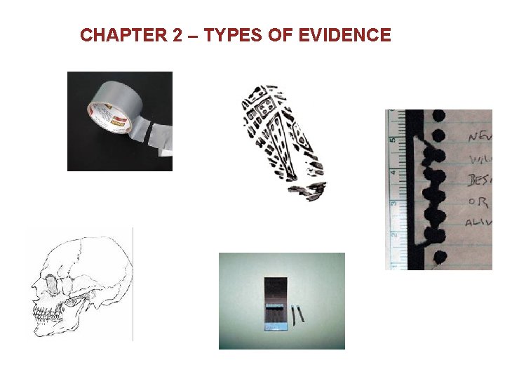 CHAPTER 2 – TYPES OF EVIDENCE 