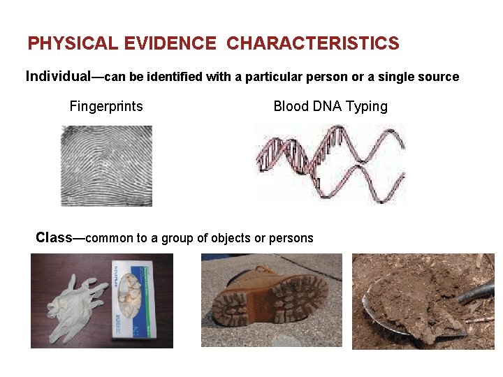 PHYSICAL EVIDENCE CHARACTERISTICS Individual—can be identified with a particular person or a single source