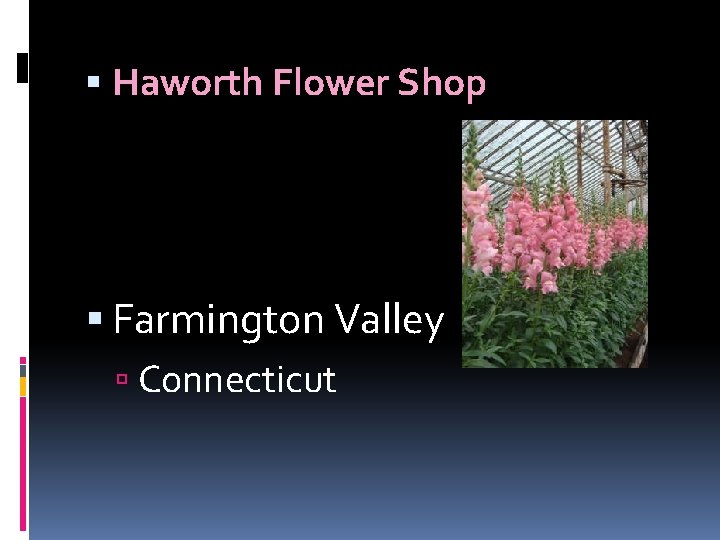  Haworth Flower Shop Farmington Valley Connecticut 