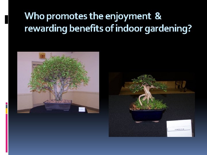 Who promotes the enjoyment & rewarding benefits of indoor gardening? 