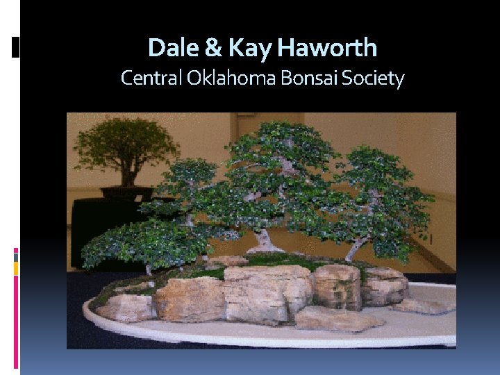 Dale & Kay Haworth Central Oklahoma Bonsai Society 