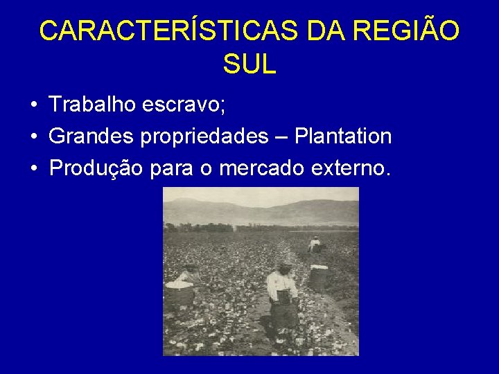 CARACTERÍSTICAS DA REGIÃO SUL • Trabalho escravo; • Grandes propriedades – Plantation • Produção