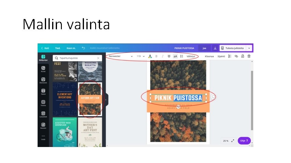 Mallin valinta 