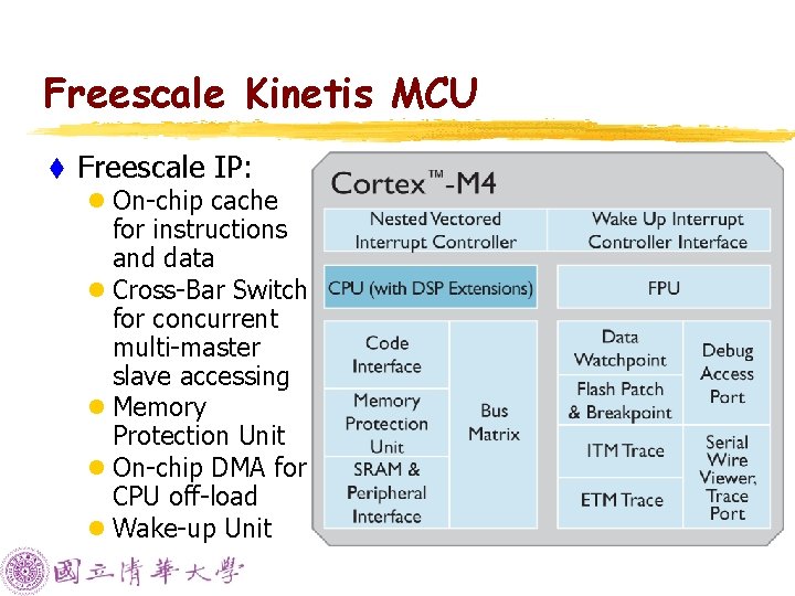 Freescale Kinetis MCU t Freescale IP: l On-chip cache for instructions and data l