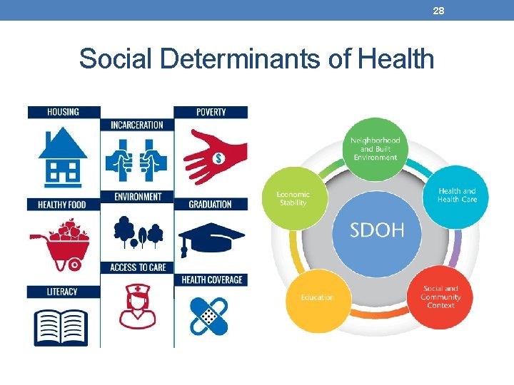 28 Social Determinants of Health 