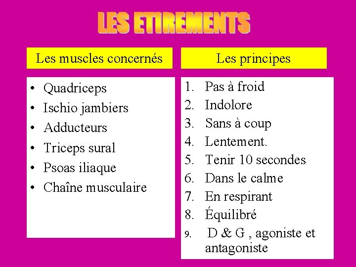 Les muscles concernés • • • Quadriceps Ischio jambiers Adducteurs Triceps sural Psoas iliaque Les muscles concernés • • • Quadriceps Ischio jambiers Adducteurs Triceps sural Psoas iliaque