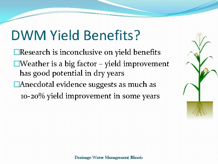 DWM Yield Benefits? �Research is inconclusive on yield benefits �Weather is a big factor