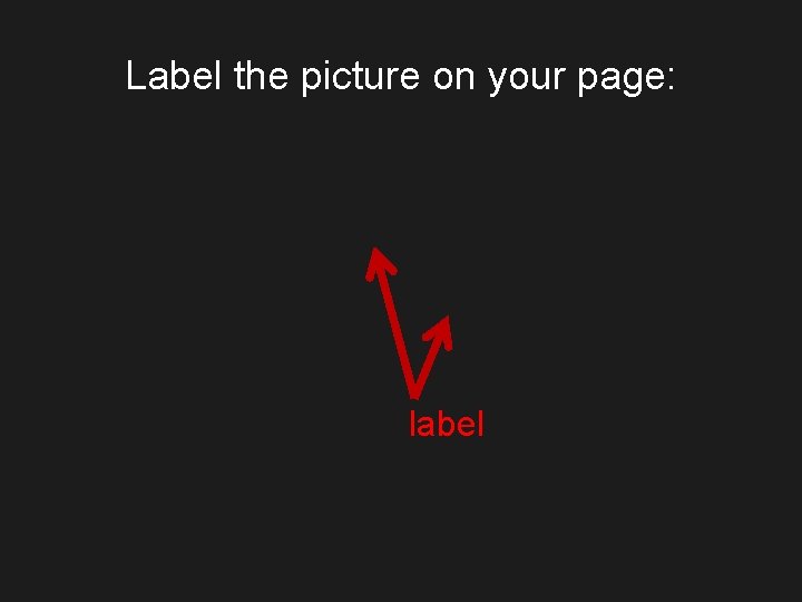 Label the picture on your page: label 