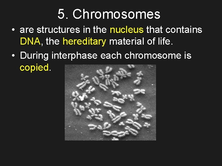 5. Chromosomes • are structures in the nucleus that contains DNA, the hereditary material