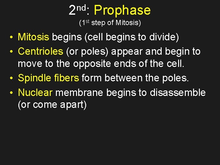 nd 2 : Prophase (1 st step of Mitosis) • Mitosis begins (cell begins