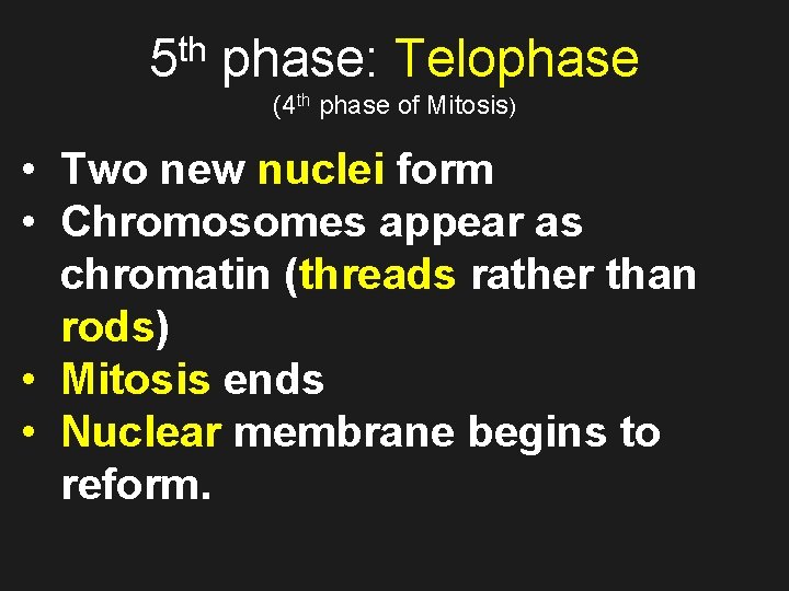 th 5 phase: Telophase (4 th phase of Mitosis) • Two new nuclei form
