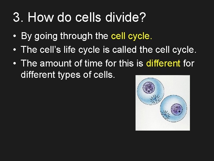 3. How do cells divide? • By going through the cell cycle. • The