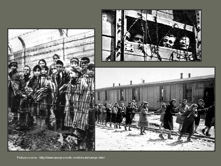 Picture source - http: //www. zwoje-scrolls. com/shoah/camps. html 