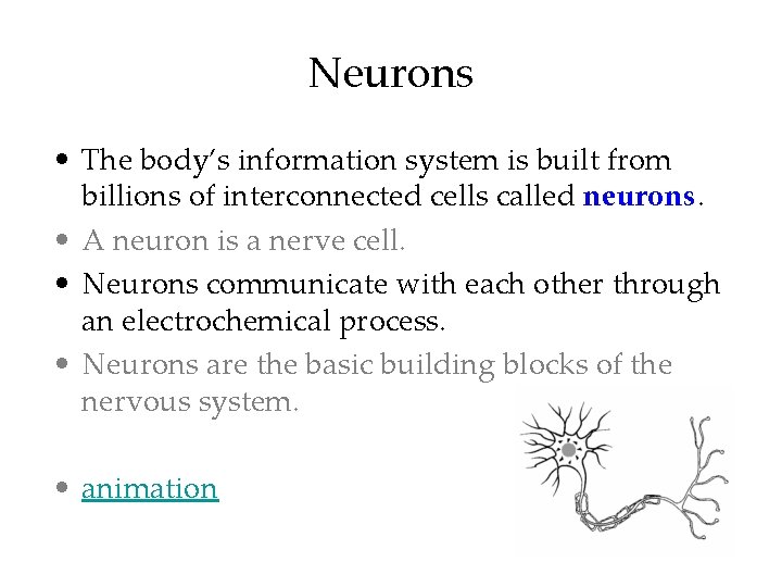 Neurons • The body’s information system is built from billions of interconnected cells called