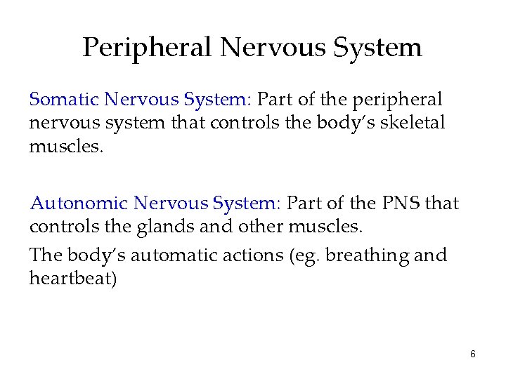 Peripheral Nervous System Somatic Nervous System: Part of the peripheral nervous system that controls