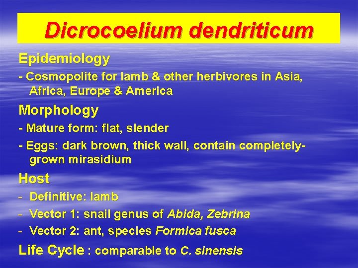 Dicrocoelium dendriticum Epidemiology - Cosmopolite for lamb & other herbivores in Asia, Africa, Europe