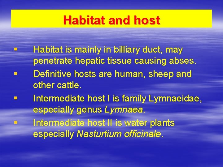 Habitat and host § § Habitat is mainly in billiary duct, may penetrate hepatic