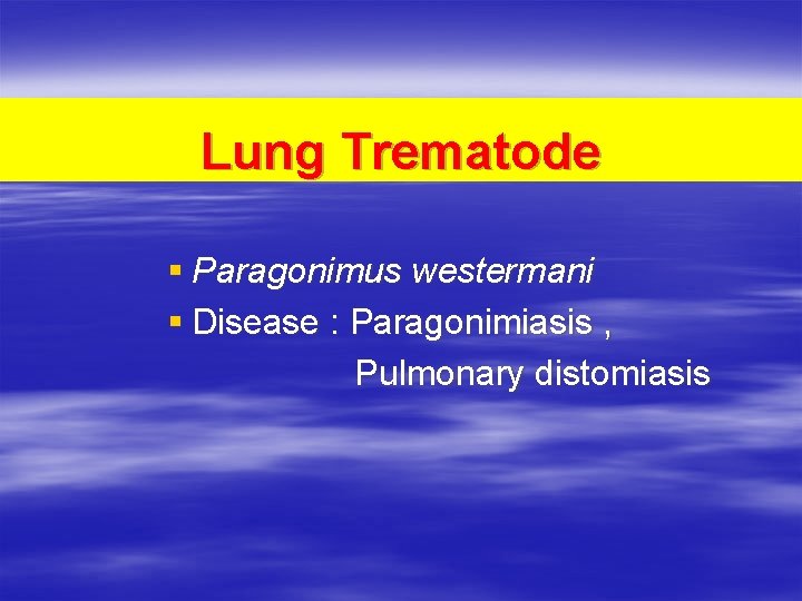 Lung Trematode § Paragonimus westermani § Disease : Paragonimiasis , Pulmonary distomiasis 