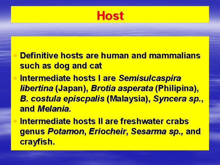 Host § Definitive hosts are human and mammalians such as dog and cat §