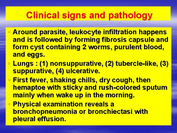 Clinical signs and pathology § Around parasite, leukocyte infiltration happens and is followed by