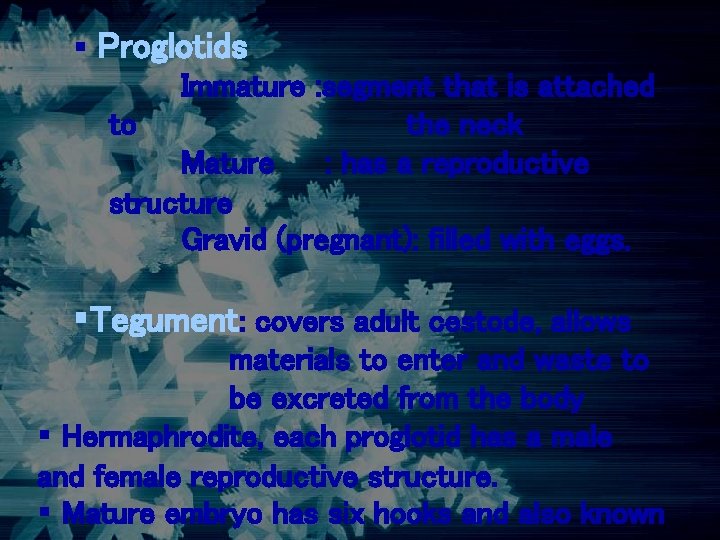 § Proglotids Immature : segment that is attached to the neck Mature : has