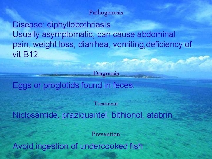 Pathogenesis Disease: diphyllobothriasis Usually asymptomatic, can cause abdominal pain, weight loss, diarrhea, vomiting, deficiency