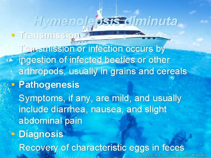 Hymenolepsis diminuta § Transmission or infection occurs by ingestion of infected beetles or other