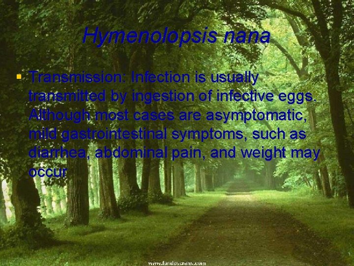 Hymenolopsis nana § Transmission: Infection is usually transmitted by ingestion of infective eggs. Although