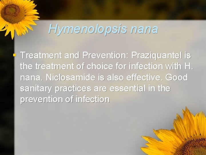 Hymenolopsis nana § Treatment and Prevention: Praziquantel is the treatment of choice for infection