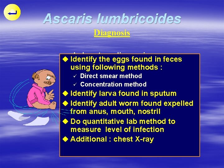 Ascaris lumbricoides Diagnosis Laboratory diagnosis u Identify the eggs found in feces using following