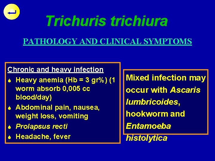 Trichuris trichiura PATHOLOGY AND CLINICAL SYMPTOMS Chronic and heavy infection S Heavy anemia (Hb