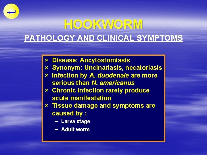 HOOKWORM PATHOLOGY AND CLINICAL SYMPTOMS û û û Disease: Ancylostomiasis Synonym: Uncinariasis, necatoriasis infection