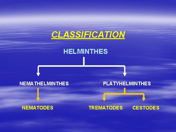 CLASSIFICATION HELMINTHES NEMATODES PLATYHELMINTHES TREMATODES CESTODES 