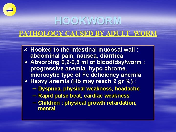 HOOKWORM PATHOLOGY CAUSED BY ADULT WORM û Hooked to the intestinal mucosal wall :