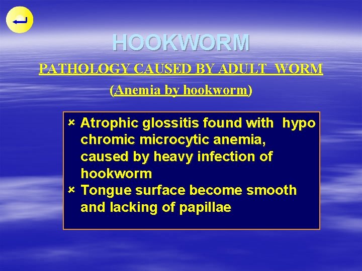 HOOKWORM PATHOLOGY CAUSED BY ADULT WORM (Anemia by hookworm) û Atrophic glossitis found with