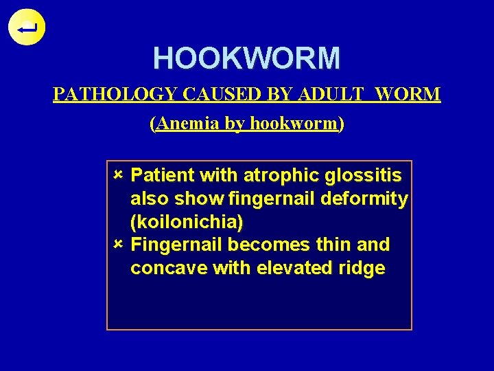 HOOKWORM PATHOLOGY CAUSED BY ADULT WORM (Anemia by hookworm) û Glositis atrofik pada with