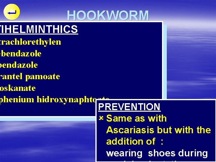 HOOKWORM TIHELMINTHICS trachlorethylen ebendazole rantel pamoate oskanate phenium hidroxynaphtoate PREVENTION û Same as with