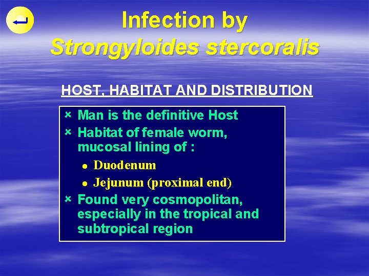 Infection by Strongyloides stercoralis HOST, HABITAT AND DISTRIBUTION û Man is the definitive Host