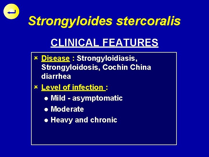 Strongyloides stercoralis CLINICAL FEATURES û Disease : Strongyloidiasis, Strongyloidosis, Cochin China diarrhea û Level