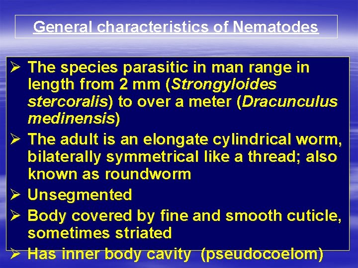General characteristics of Nematodes Ø The species parasitic in man range in length from
