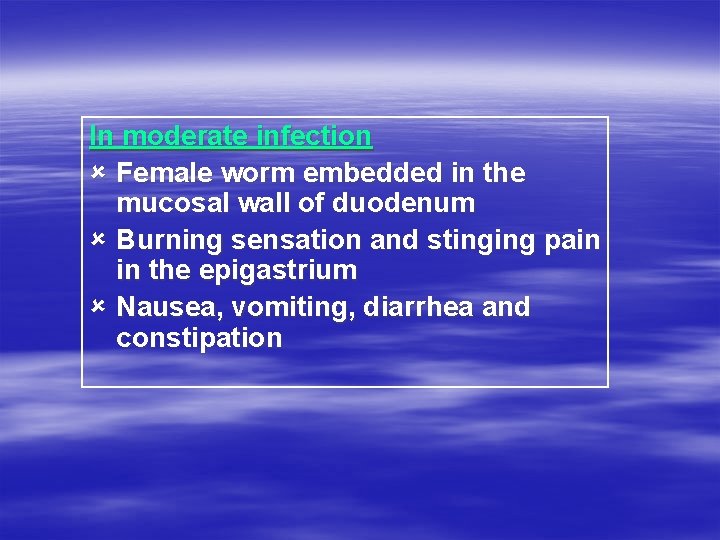 In moderate infection û Female worm embedded in the mucosal wall of duodenum û