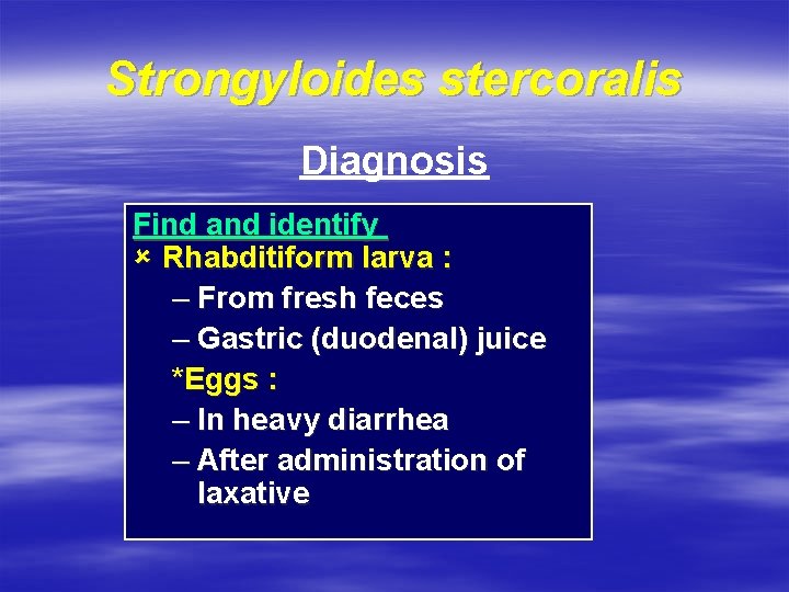 Strongyloides stercoralis Diagnosis Find and identify û Rhabditiform larva : – From fresh feces